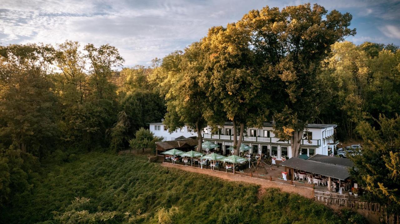 Hotel Hasenjaeger 艾恩贝克 外观 照片